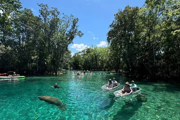 Crystal River Three Sisters Springs and Manatee Clear Kayak Tours