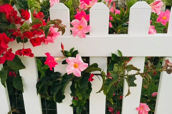 Discover Lush Gardens, Trees & Neighborhoods: Private - Primary Image