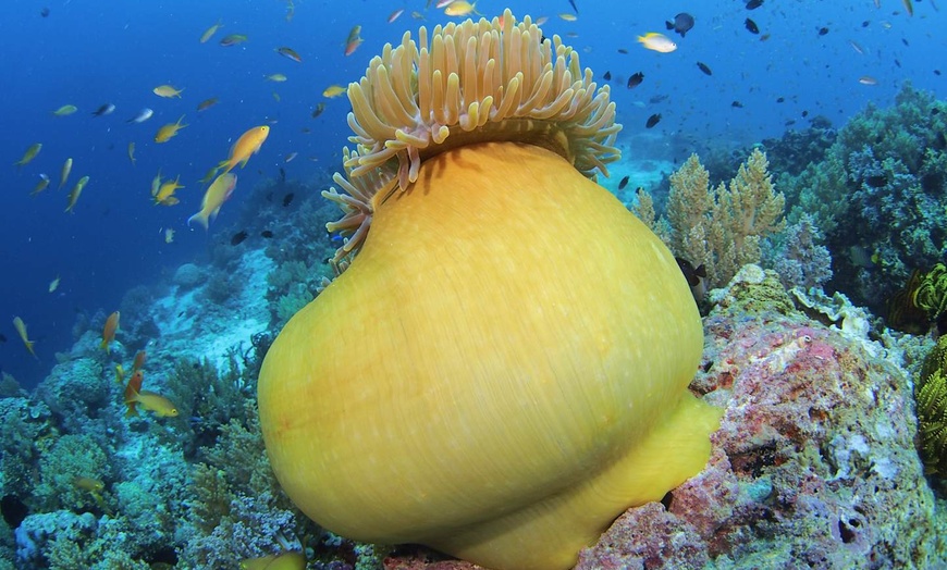 Image 26: ✈ PHILIPPINES | Manille - Combiné Manille - Panglao, 7 nuit - Combiné