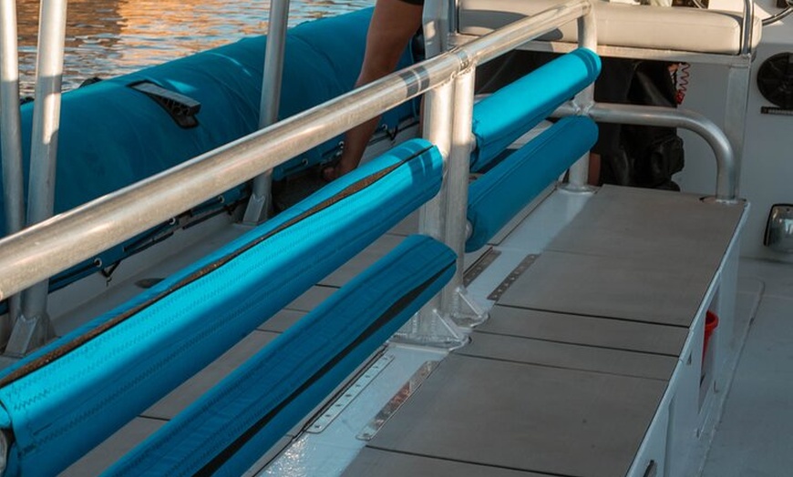 Image 20: Maui to Lanai Semi-Private Eco Raft Snorkel and/or Dolphin Tour