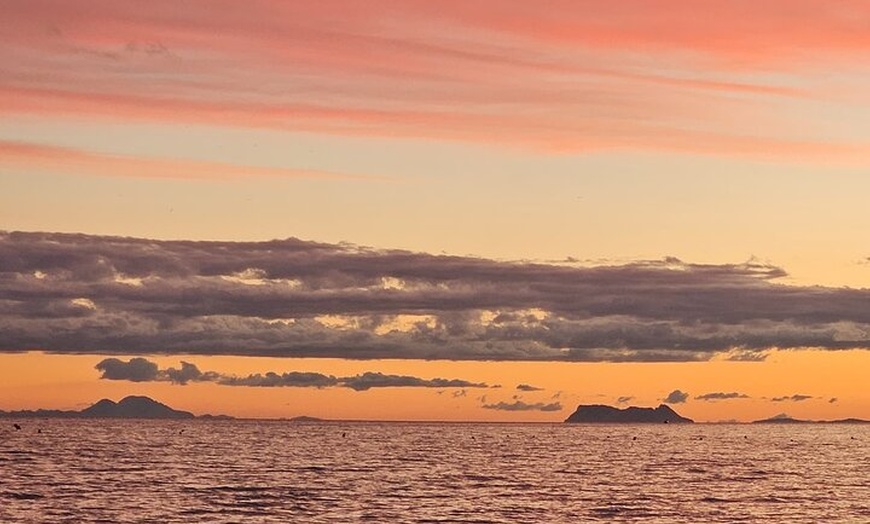 Image 11: Marbella: Crucero al atardecer en catamarán con aperitivos y bebidas