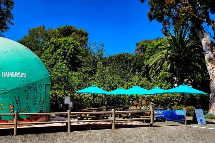 A 360° Immersive Ocean Movie Experience (Catalina Island)