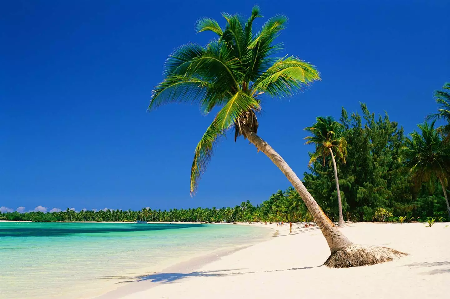 ✈ DOMINIKANISCHE REPUBLIK | Punta Cana - Das Wichtigste über die Do...