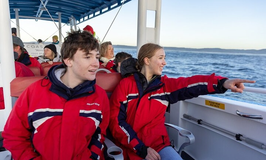 Image 26: Humpback Whale Encounter Tour from Newcastle