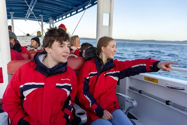 Humpback Whale Encounter Tour from Newcastle