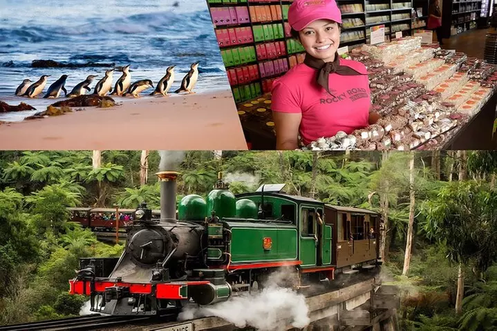 Melbourne Puffing Billy Penguin wine choc(16 max) Hotel Pick Up - Primary Image