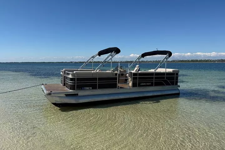 Private 2-Hour Dolphin and Sightseeing Tour