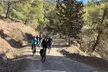 Alquiler de bicicletas de montaña en Málaga - Second Medium