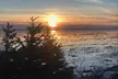 All-in-One Anchorage: City Tour, Wildlife, Lunch & Portage Cruise - Second Medium