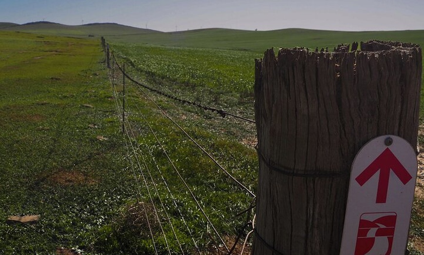 Image 28: Burra Township to Mount Bryan History and Landscape Day Tour