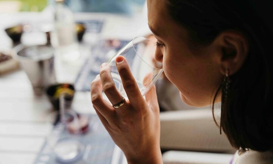 Image 3: Guided Gin Tasting Experience at Never Never Distilling Co.