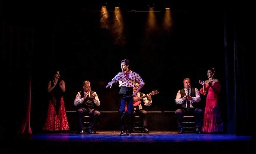 Image 2: Show Flamenco Auténtico en el Teatro Flamenco Granada