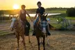 Hunter Valley Sunset Horse Ride - 90 Minutes - Image 5