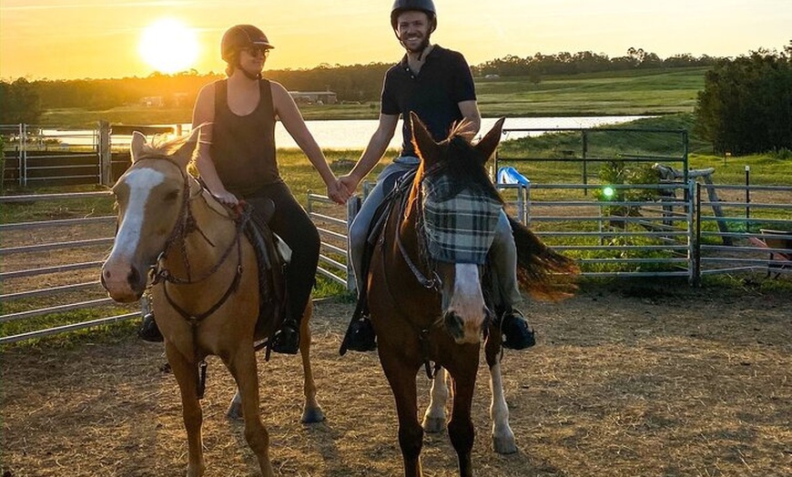 Image 5: Hunter Valley Sunset Horse Ride - 90 Minutes