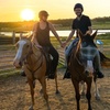 Image 5: Hunter Valley Sunset Horse Ride - 90 Minutes