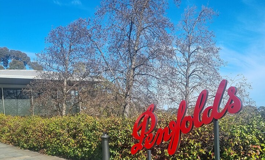 Image 7: Penfolds and Hahndorf Shared Tour Wine Tasting and Lunch
