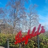 Image 7: Penfolds and Hahndorf Shared Tour Wine Tasting and Lunch