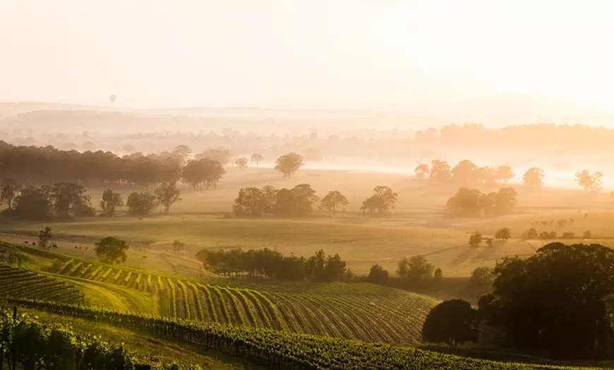 Image 2: Hunter Valley Private Tours from Sydney - Premium Wine Tasting