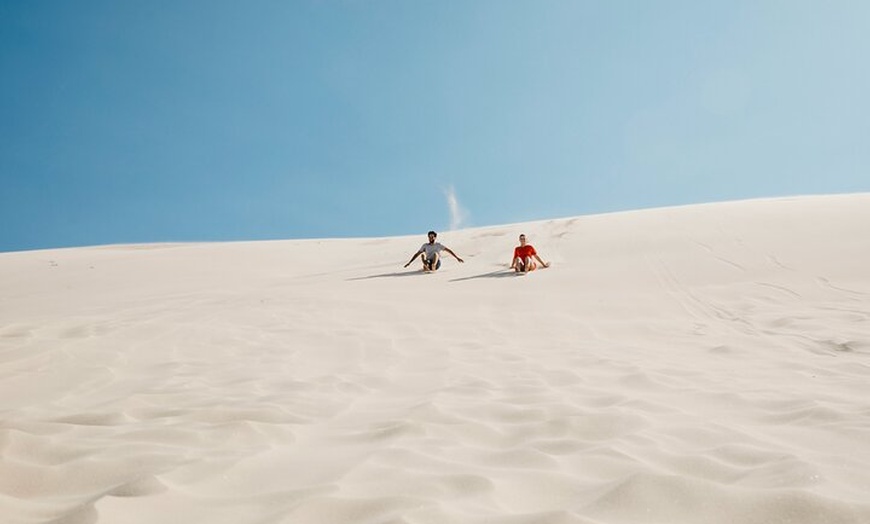 Image 5: Small Group Port Stephens + Dolphins + 4WD/sandboarding ex Sydney