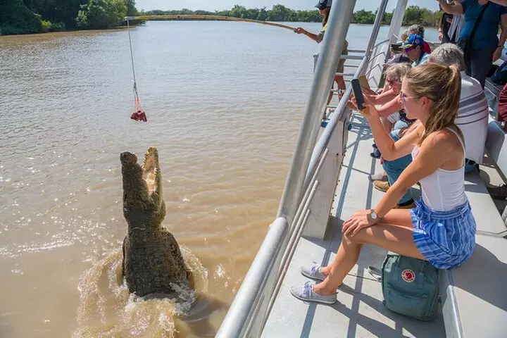 Kakadu Wildlife Escape Fogg Dam or Crocodile Cruise from Darwin
