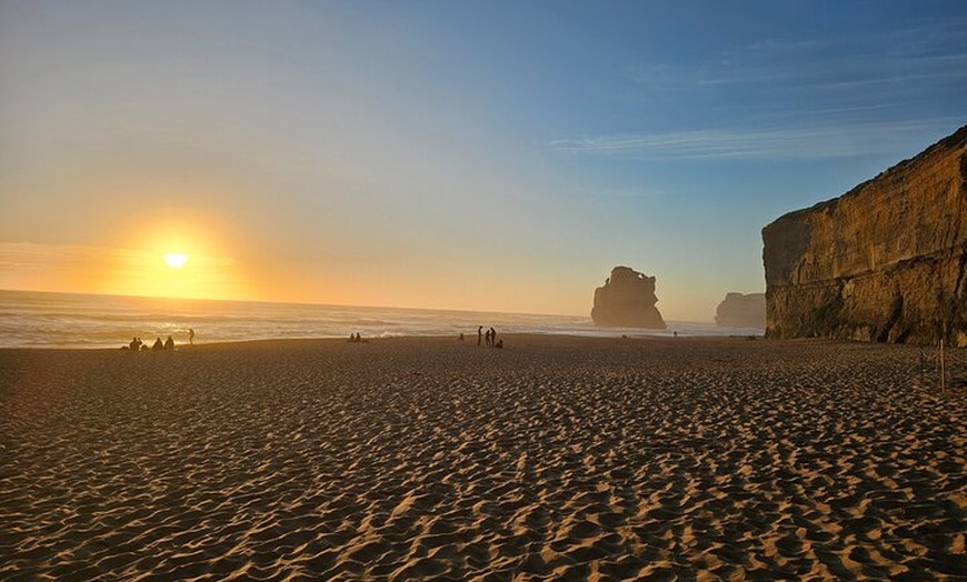Image 16: Great Ocean Road Small Group Tour with Dingos, Sparkling & Lunch