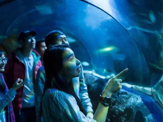 Tickets to see SEA LIFE London Deluxe Entry