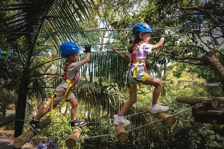 Lane Poole Park Dwellingup - Junior Tree Ropes & Ziplining - Primary Image