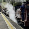 Image 1: Private Puffing Billy Steam Train and Healesville Sanctuary Tours