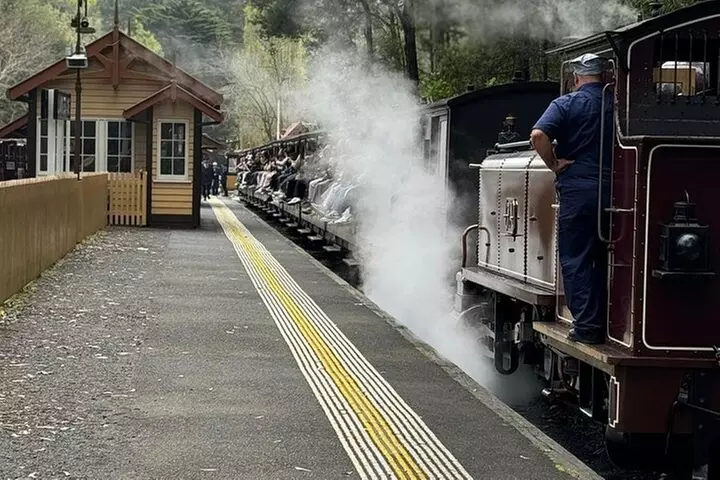 Private Puffing Billy Steam Train and Healesville Sanctuary Tours - Primary Image