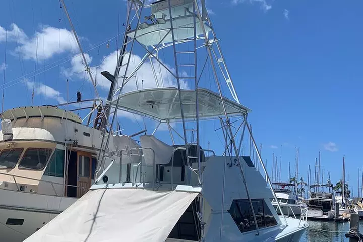 Deep Sea Sport Fishing