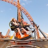 Image 5: 2-Day Dreamworld and SkyPoint Admission Ticket