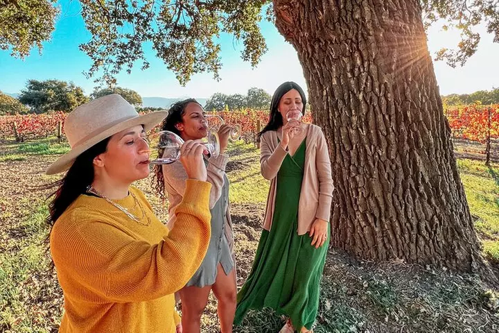 Santa Ynez Wine Tour (All-Inclusive)