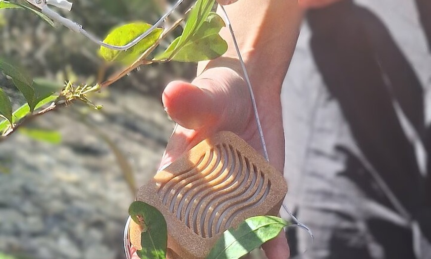 Image 6: Blue Mountains 3 Hour Guided Eco Tour - close to Sydney