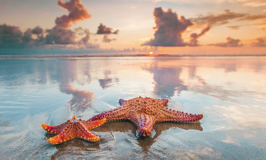 Image 8: ✈ BALI | Ubud & Nusa Dua - Escapade Romantique à Bali 5*, 9 nuit - ...