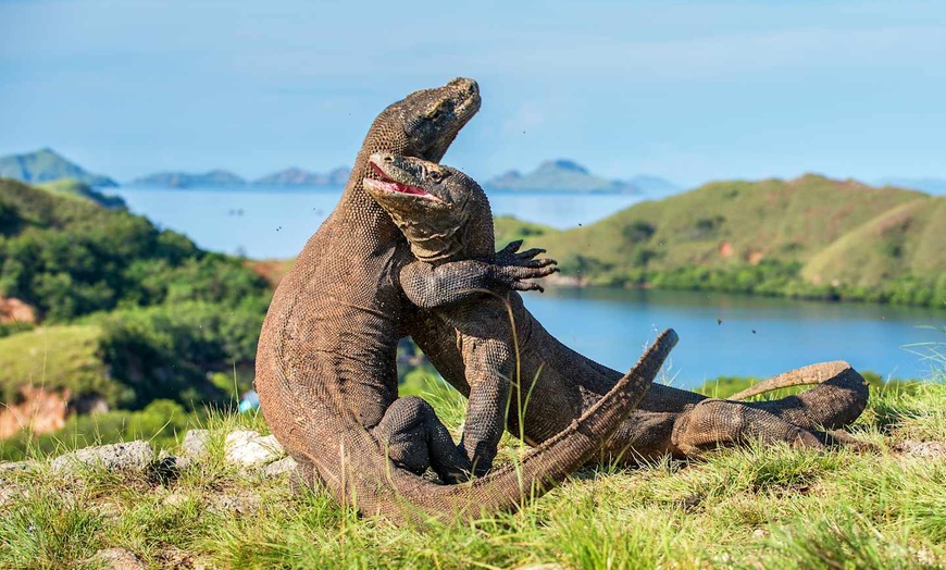 Image 13: ✈ INDONÉSIE | Bali & Komodo - Indonésie Ancestrale : de Bali à Komo...