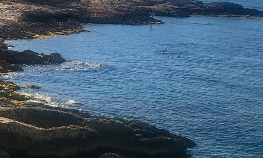 Image 13: Ruta a pie Tour Ibiza Ciudad a Dalt Villa