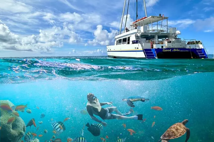 Turtle Snorkel Adventure from Waikiki, Oahu