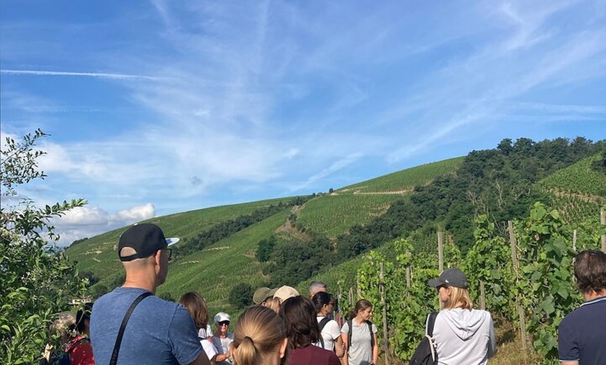 Image 5: Randonnée et Vin entre Côte-Rôtie et Condrieu