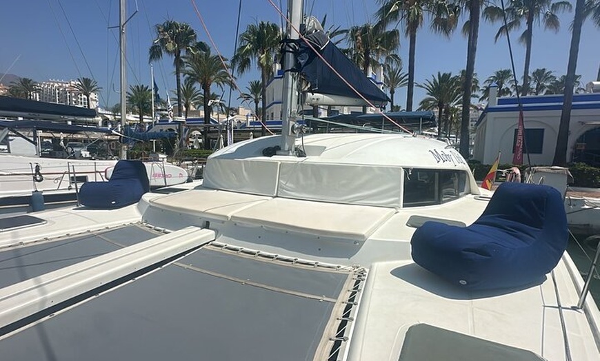 Image 11: Avistamiento de Delfines en Estepona