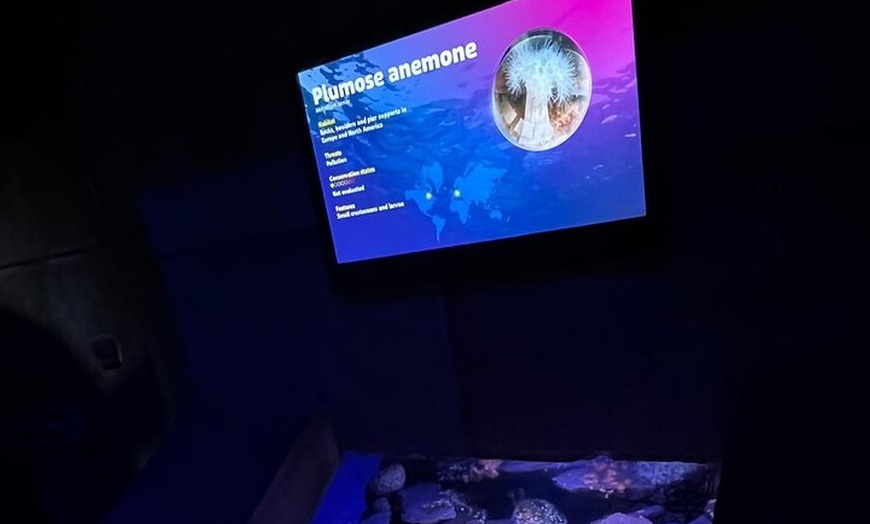 Image 15: Luxury Private Tour in London