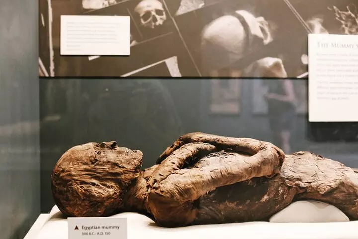 Smithsonian Natural History + American History - Exclusive Tour