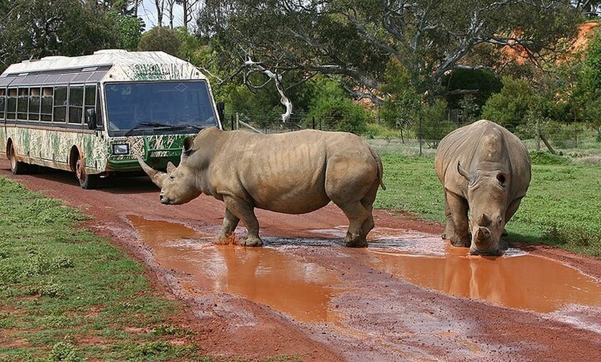 Image 9: Melbourne 2 or 3 Day Unlimited Pass