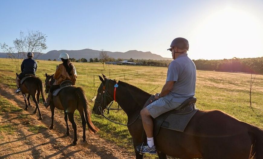 Image 6: Hunter Valley Horse Ride - 90 Minutes -Vineyard & Mountain Views