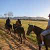 Image 6: Hunter Valley Horse Ride - 90 Minutes -Vineyard & Mountain Views