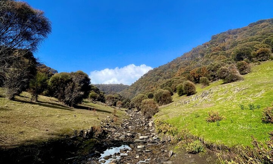 Image 12: Kangaroo Island Ultimate Adventure Tour departing Penneshaw