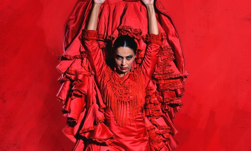 Image 7: Show Flamenco Auténtico en el Teatro Flamenco Granada