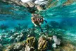 Reef Snorkeling in National Park from Cancun with Beachside Lunch - Second Medium