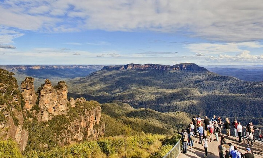 Image 4: Private Sydney Tour to Featherdale Wildlife Park