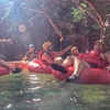 Image 10: Rainforest River Tubing from Cairns