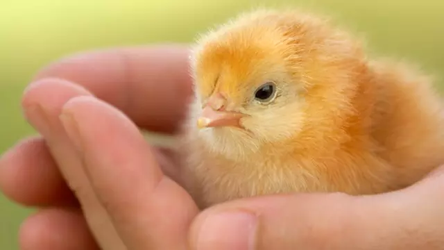 $25 For Two Admission Tickets For Any 2026-2027 Special Event (Reg. $50-$70)